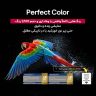 یک طولی رنگانگ با فناوری Perfect color در تلویزیون ال جی C5