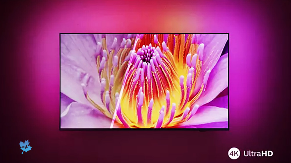 کیفیت تصویر عالی تلویزیون 4K فیلیپس 55PUS8209