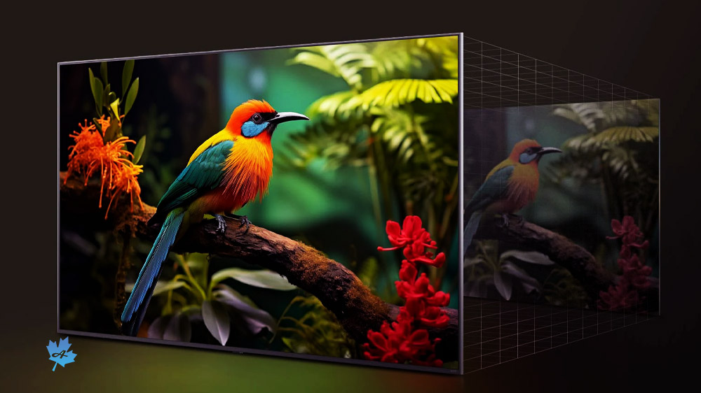کیفیت تصویر تلویزیون 4K ال جی 65UA8500